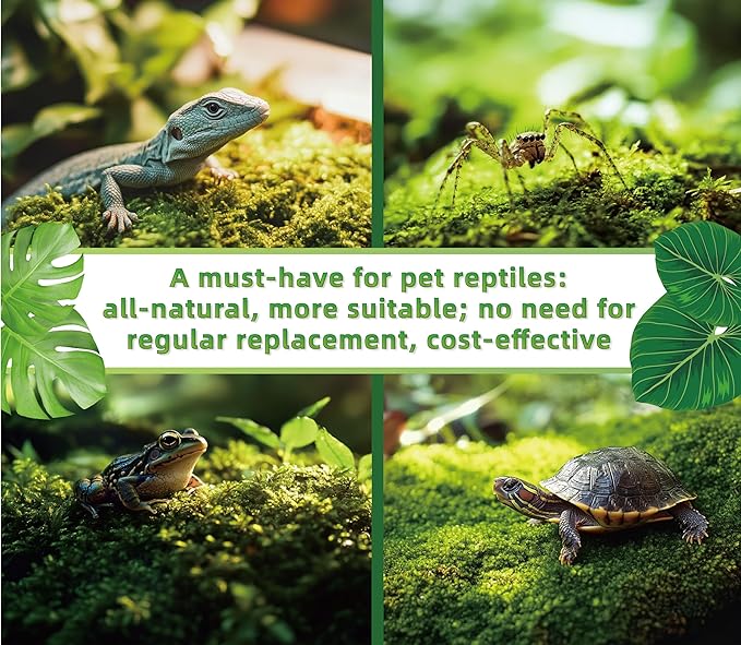 LUCKYRUNES Live Moss for Reptiles - Terrarium Moss for Reptiles Peat Moss for Reptiles Habitat Bedding Moss for Snakes Turtle Frog Gecko and Other Reptiles Substrate 50 Square inches Live Moss
