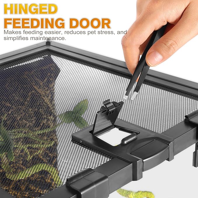 20"x12"x10" Mini Reptile Glass Terrarium, Top-Opening Vivarium with Escape-Proof Lock & Feeding Door, Suitable for Small Reptiles & Amphibians, Such as Leopard Geckos & Horned Frogs.