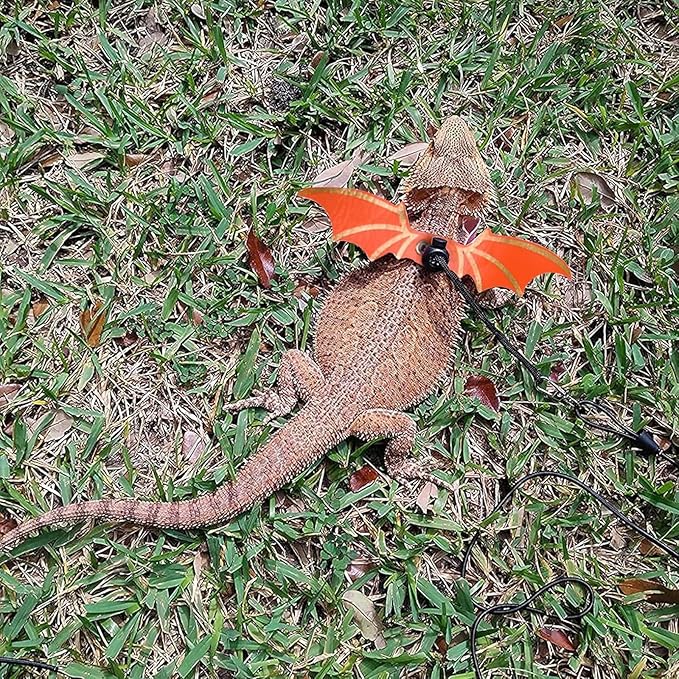 Dinosaur Wing Leash Harness for Bearded Dragons - 3-Size Adjustable Reptile Harness Set, Safe Escape-Proof Design for Lizards, Geckos, Iguanas & Small Pets (Orange)