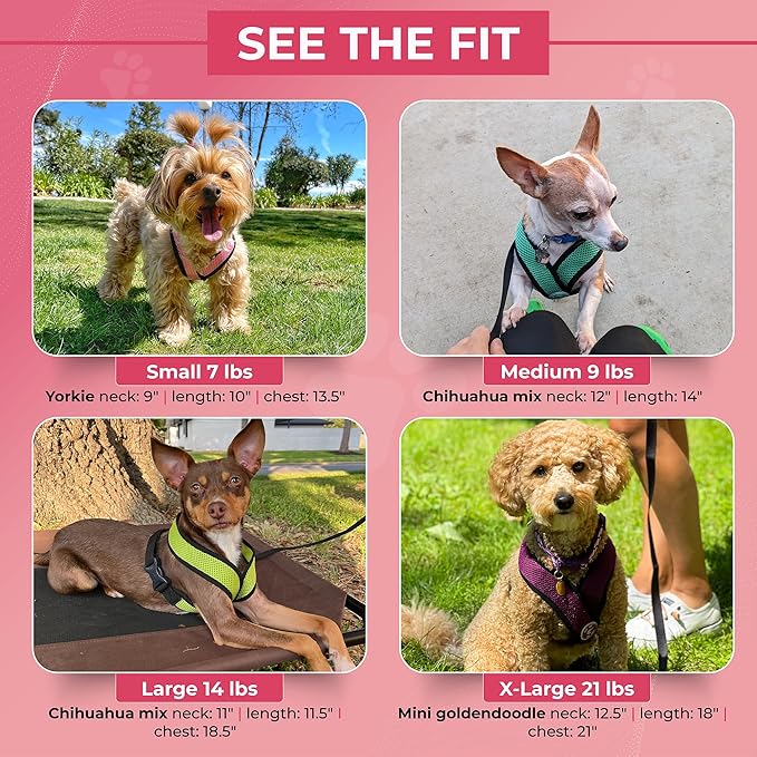 Gooby Comfort X Head in Harness - Pink, Small Harness Patented Choke-Free X Frame - Perfect on The Go Harness for Medium Dogs No Pull or Small Dogs for Indoor and Outdoor Use
