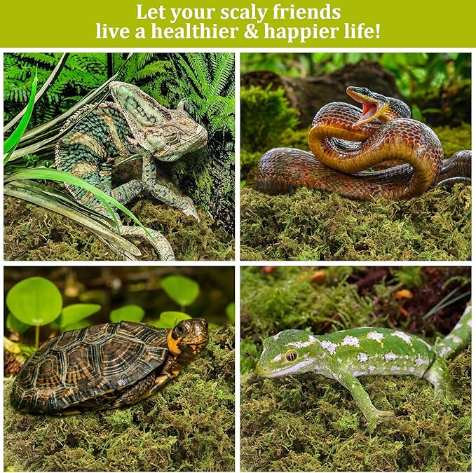 Legigo 14 OZ Sphagnum Moss for Reptile- 16 QT Natural Reptile Moss Terrarium Moss Substrate, Snake Tank Moss Peat Moss Reptile Bedding for Snake, Gecko, Ball Python, Frog and Orchids Plants