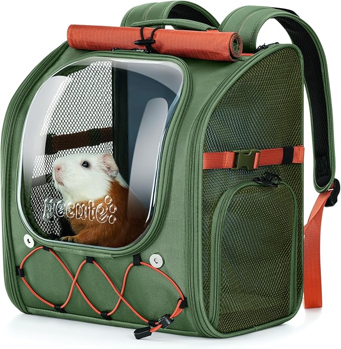 Pecute Small Pet Carrier, Breathable Guinea Pig Carrier with Transparent Bubble & Steel Frame, Safety Lock for Hamster, Rabbit, Bearded Dragon, Lizard, Ideal for Hiking, Vet Visits, Camping, Green