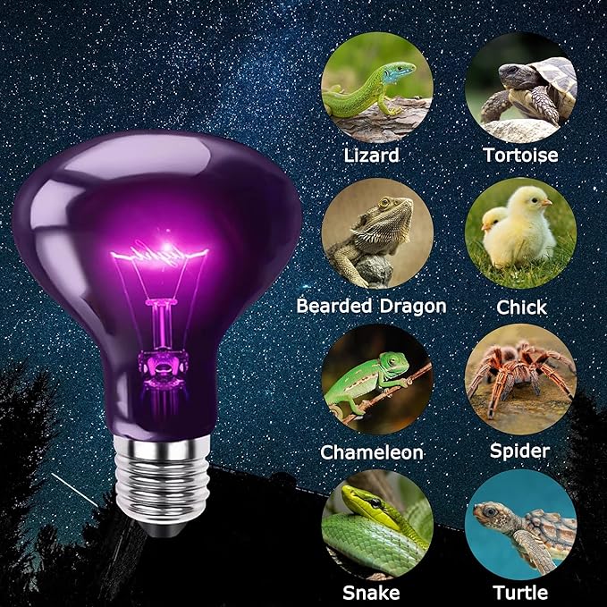 HARTOMPET 100W Reptile Night Light Bulb - UVA Heat Lamp for Bearded Dragons, Lizards & Amphibians