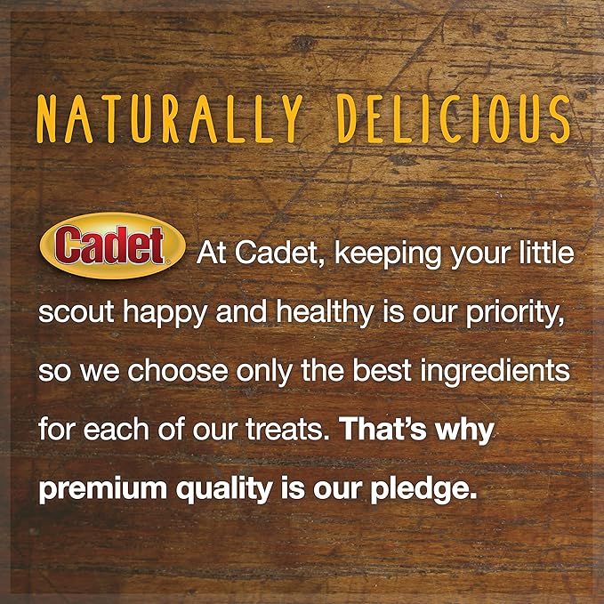 Cadet 100% Beef Strips Dog Chew Sticks, Long-Lasting Single-Ingredient Natural Treats, High-Protein, Perfect for Small & Large Breeds, 12 oz