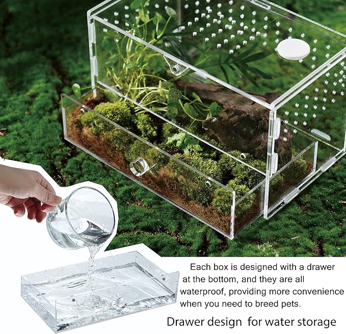 Acrylic Clear Reptile Habitat Enclosure Terrarium with Latch ，Perfect for Amphibians and Invertebrates Such as Spiders, Frogs, etc (Vertical)