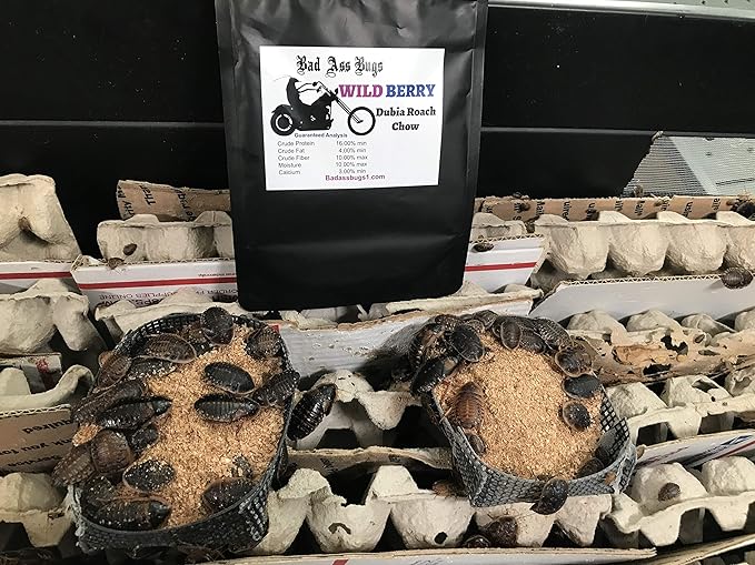 1LB Dubia Roach Chow Wild Berry