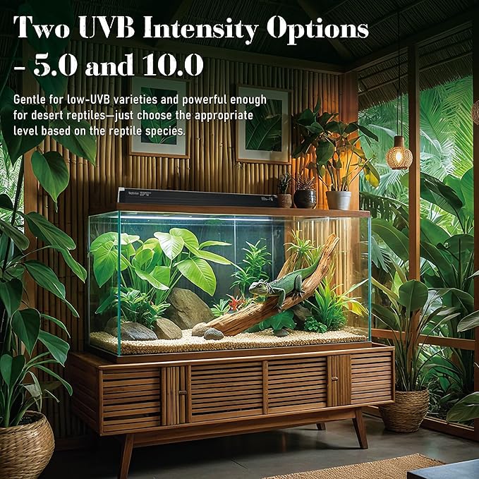 4W Reptile T5 HO UVB 6.5" 5.0 Light Fixture with Tube, Dedicated UVB Spot Hood for Terrariums, Suitable for Arid Reptiles Like Leopard Gecko