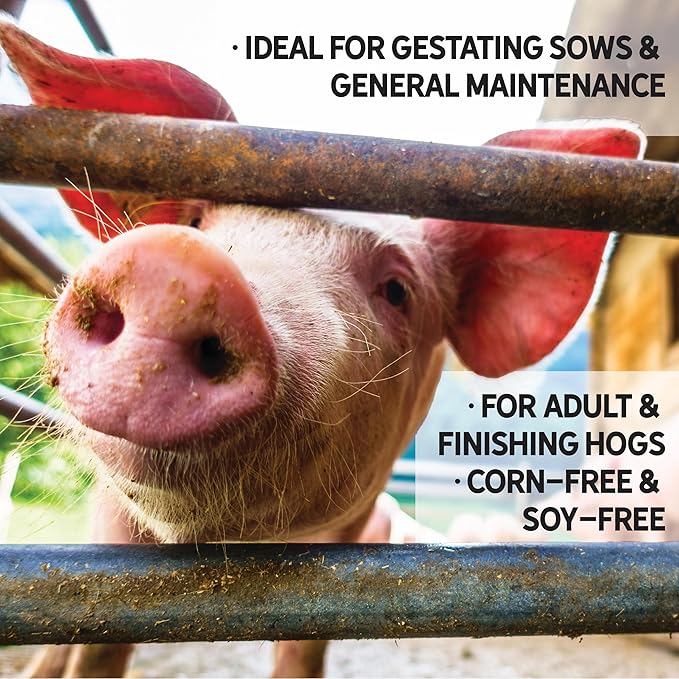 New Country Organics | Swine 12% Protein Feed for Gestating Sows and General Maintenance of Adult and Finishing Hogs | Corn-Free and Soy-Free | Certified Organic and Non-GMO | 40 lbs
