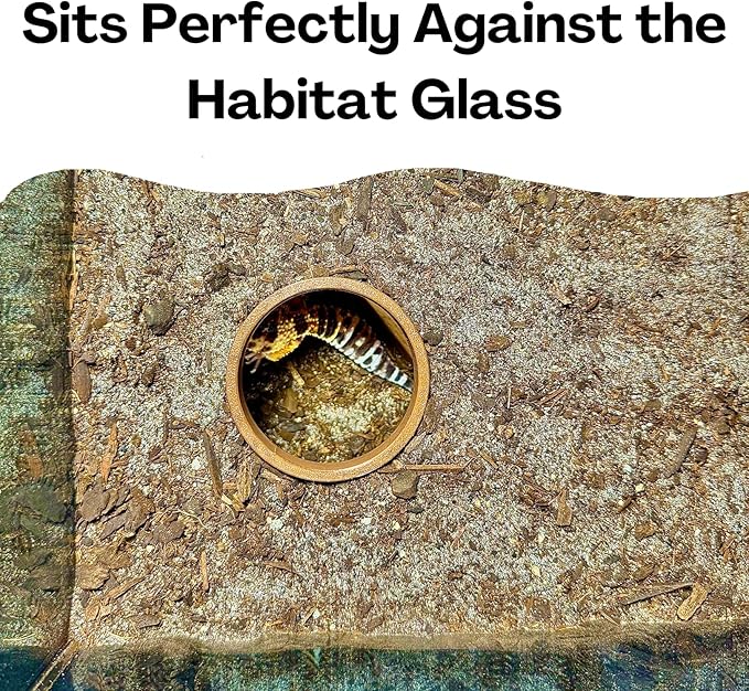 Reptile Corner Underground Cave Viewing Hide | Hognose Snake, Corn Snake & Leopard Gecko Hideout Reptile Habitat Tank Enrichment | Decor Decoration Accessories Supplies Toys Ornaments