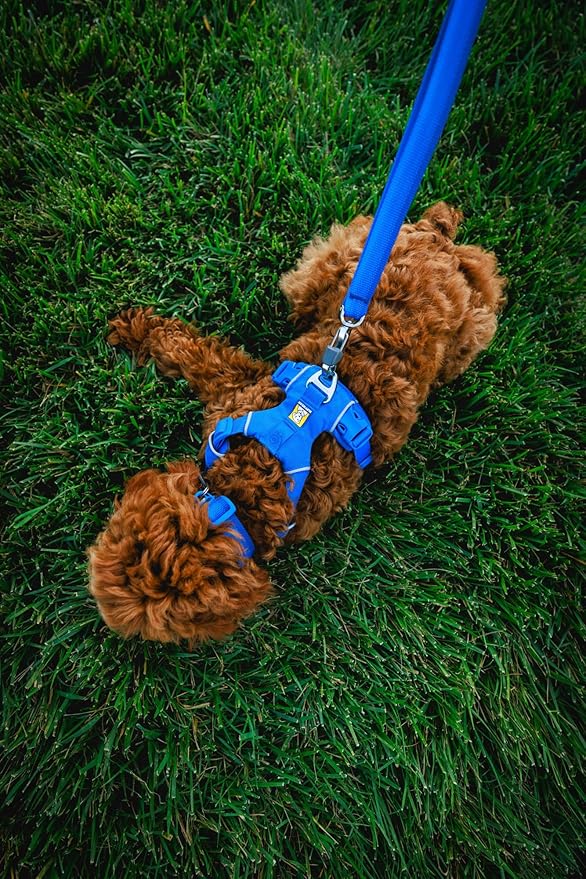 Ruffwear, Front Range Dog Collar, Adjustable Tubelok Webbing, Lightweight, Side Release Buckle, Aluminum V-Ring, Durable for Everyday Use, Blue Pool, 20"-26"
