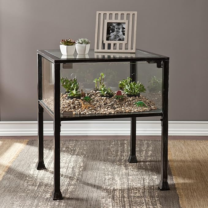 SEI Furniture Terrarium Display End Table, Black/Silver Distressing
