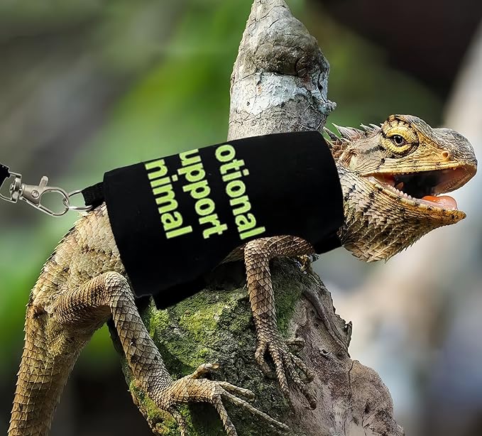 2 Pack Bearded Dragon Harness and Leash Set,Escape Proof Lizard Reptiles Harness Small Animal Traction Rope Training Walking Vest for Reptile Squirrel Rat-Blue&Green