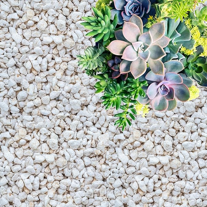 GARDENWISE Perlite for Plants, Coarse and Chunky Horticultural Perlite, Organic Perlite for Gardening Indoor & Outdoor, Perlite Bulk Bag, Made in USA (1 Quart)