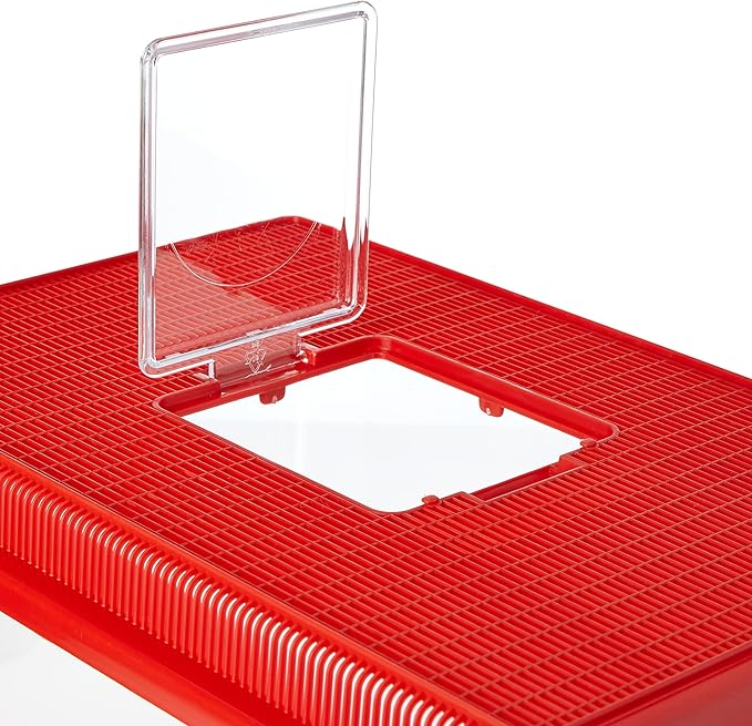 Ferplast Plastic Container for Small Animals GEO Extra Large Aquarium Tank 11 L for Fishes Terrarium Turtles Insects, Sturdy Plastic, Ventilation Grills, 35,6 x 23,4 x h 22,8 cm Red