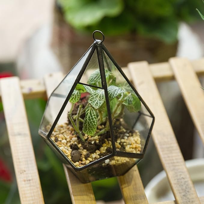 NCYP Mini Wall Hanging Glass Terrarium, 4.5 x 4.5 x 5.3 inches Diamond Shape Geometric Terrarium for Succulent Plant, Desktop Decor, Mini Centerpiece, Modern (Plants Not Included)