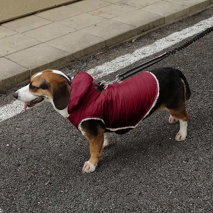 Vecomfy Fleece Lining Dog Hoodie with Harness Built in,Extra Warm Medium Dog Jacket in Winter Doggie Coats with Drawstring Hooded,Red XL