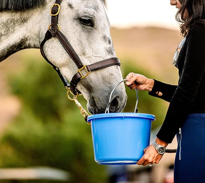 Horse Quencher Flavored Horse Hydration Supplement, Thirst Quencher for Horses, 13 lbs Pail, All-Natural Grains for Equestrians and Horse Owners, Aids in Preventing Health Issues