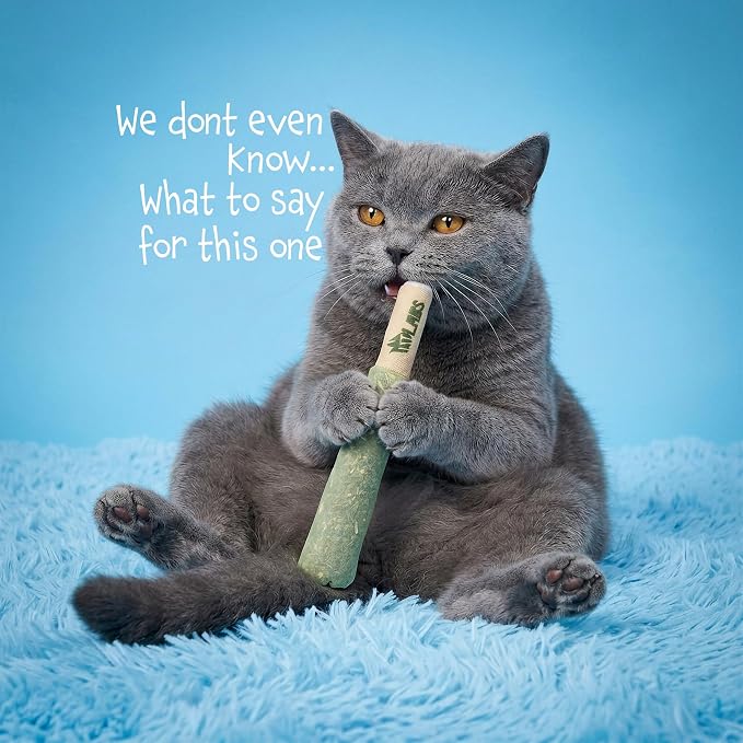 LIT LABS Cat Doobie 3 Pack Catnip Toys for Cats, Funny Cat Toys, Safe Kitten Teething Chew and Kicker Toys, Stress-Relieving Indoor Cat Gifts that Hit Different - Image 6