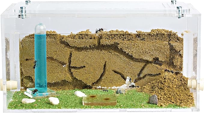 Anthouse.ES - Natural Sand Ant Farm - Acrylic Starter Kit 20x10x10 cm - Sand, Pipette, and Water Dispenser Included - Easy Installation