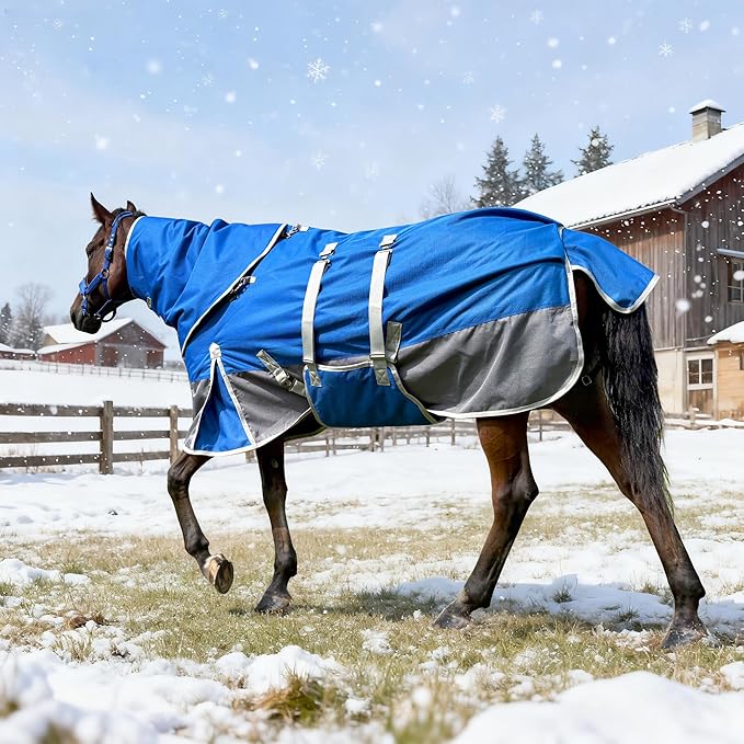 Winter Horse Blanket Horse Turnout Blanket Waterproof 1200D 260g Filled Medium Weight Horse Blanket with Detachable Neck Cover