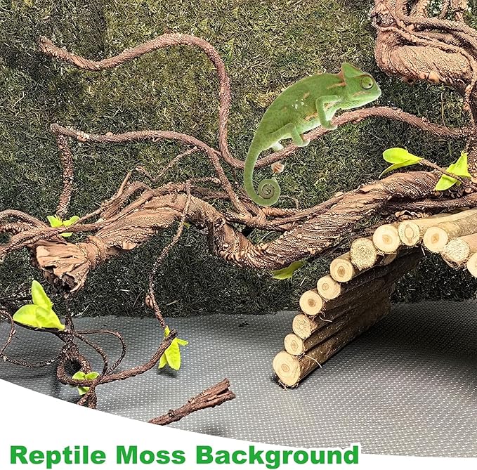 kathson Reptile Carpet, Natural Moss Mat for Terrarium, Bearded Dragon Tank Flooring Green Substrate Liner for Leopard Gecko Hermit Crab Lizard Tortoise (39.37" X 11.81")