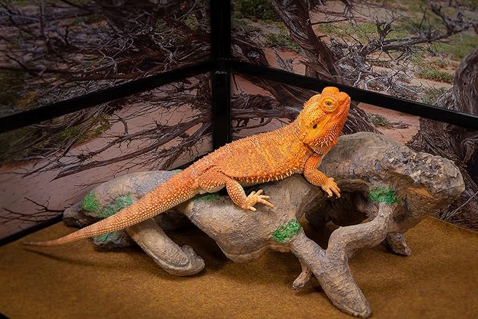 CAROLINACUSTOMCAGES Gnarled Large Root, Brown, Reptile Habitat Accessory