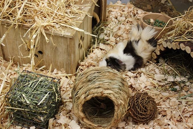 Happy Pet Nature First Jumbo Grass House for Small Animals Durable Flexible Natural Nesting Nibbling Hiding Playing Treat Toy Cage Habitat Accessory
