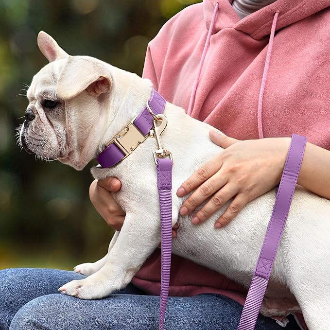 PET ARTIST Soft PU Leather Dog Collar and Leash Set, Bright & Stylish 5FT PU Leather Leash and Collar Set, Durable Pet Collars with Quick Release Metal Buckle for Large Dogs,Purple,L(16-27")