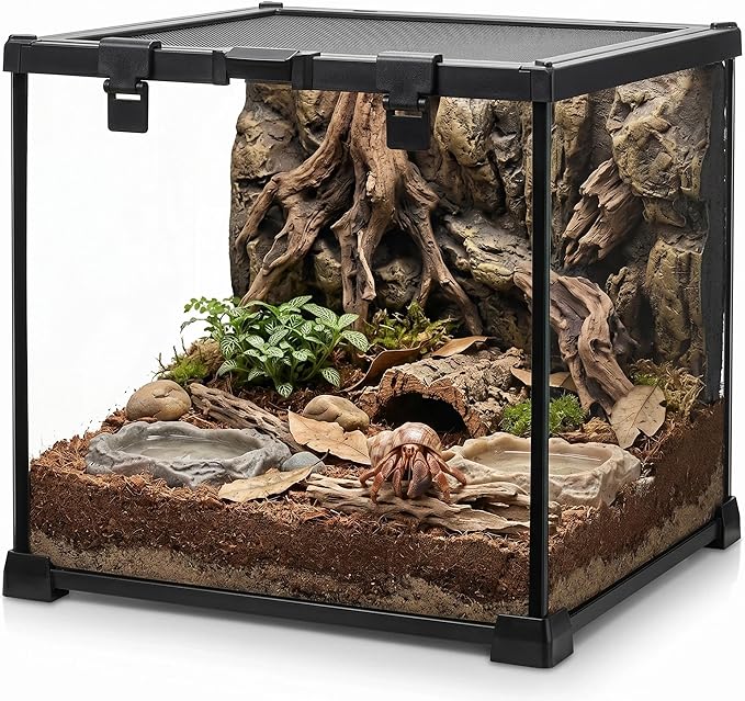Mini Reptile Glass Terrarium Vivarium 12'' x 12'' x 12'' Full View Tank Small Amphibians Glass Habitat Cage with Feeding Slot & Box Lock Buckle