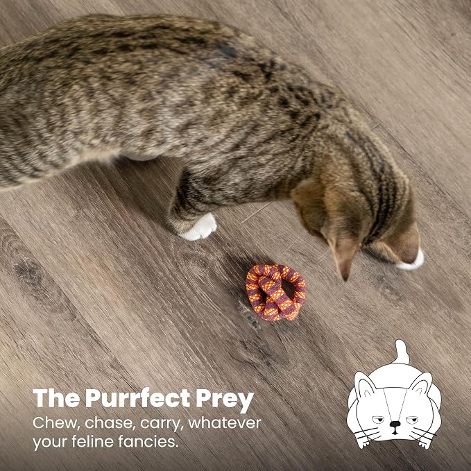 Catstages Plaque Away Pretzel Cat Toy ?€? Interactive Catnip Dental Chew Toy to Help Clean Teeth, Fun for Play and Chewing, Orange (Pack of 2) - Image 6