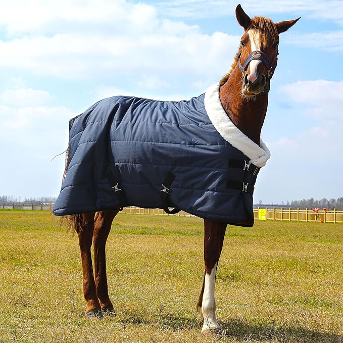 HOMBYS Heavy Duty Winter Horse Blanket,Waterproof Turnout Blanket with Flannel Backing,Super Warm Horse Blanket for Real Horse, 600D High Density Horse Sheet (75")