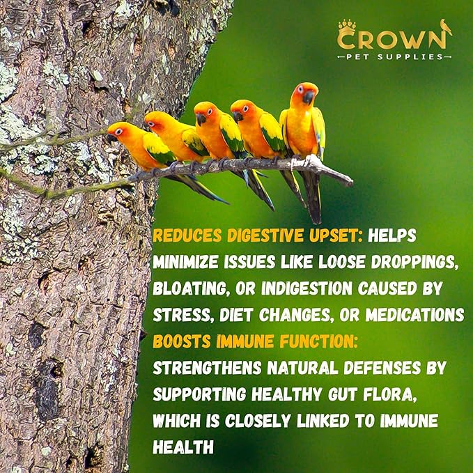 Probiotic Powder for Birds – 10 Billion CFU with Bacillus & Yeast Cultures – Supports Gut Health, Digestion, Growth, Appetite & Nutrient Absorption - 100 grams Powder for Avian & Cage Birds