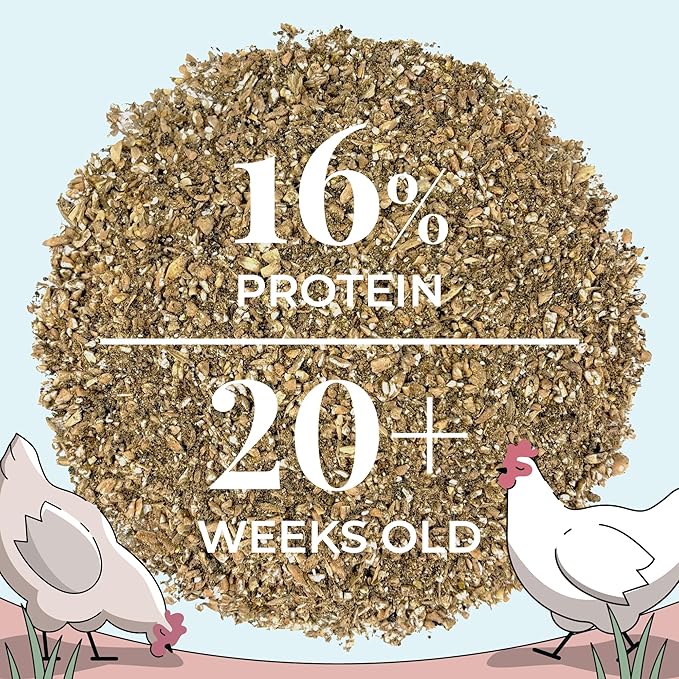 Mile Four Organic Layer Chicken Feed Kit | Feeds 10 Layer (20+ Weeks) Chickens for 4 Weeks | Feed (69 lb), Grit (12 lb), Oyster Shell (16 lb) | Mash