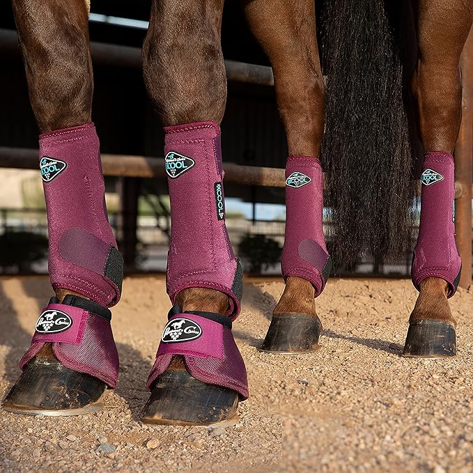 Professional's Choice 2XCOOL Sports Medicine Horse Boots | Protective & Breathable Design for Ultimate Comfort & Durability in Active Horses | Value 4 Pack