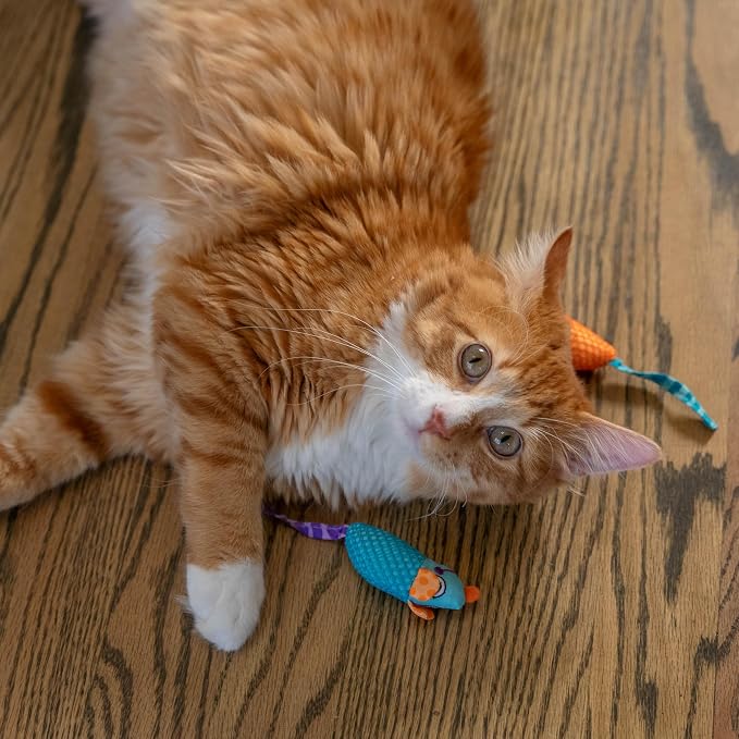 Catstages Catnip Chew Mice 2 Pack?€? Interactive Dental Cat Chew Toy that Helps Clean Teeth, Mouse, Multicolored - Image 8