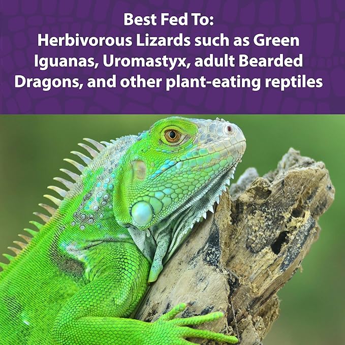 Mazuri® Herbivorous Reptile Diet | Food for Plant-Eating Herbivorous Lizards, Green Iguanas, Uromastyx Lizards | 25 Pound (25 LB) Bag