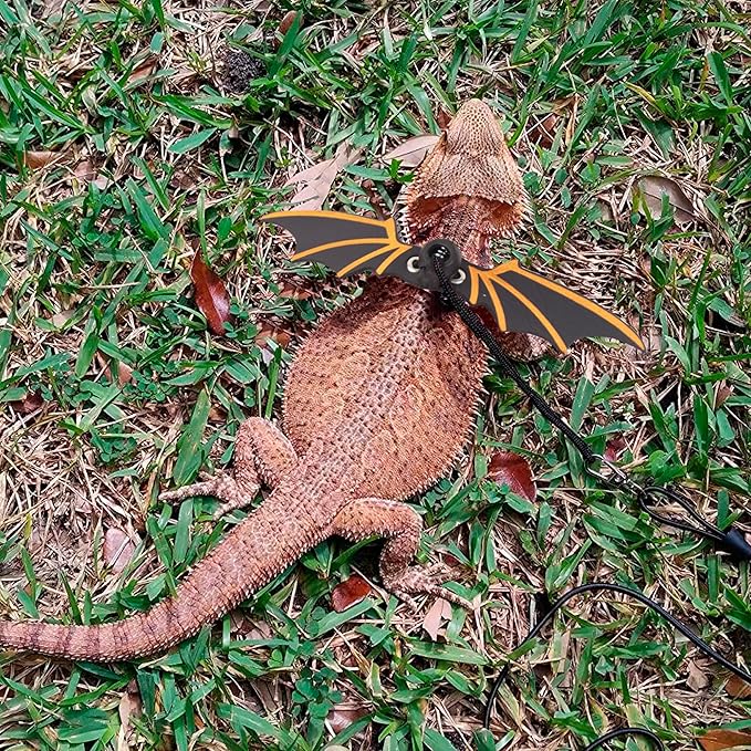 ADOGGYGO Bearded Dragon Leash Harness, 3 Size Pack Black Lizard Wing Harness with Removable Leash for Bearded Dragon Lizard Reptiles