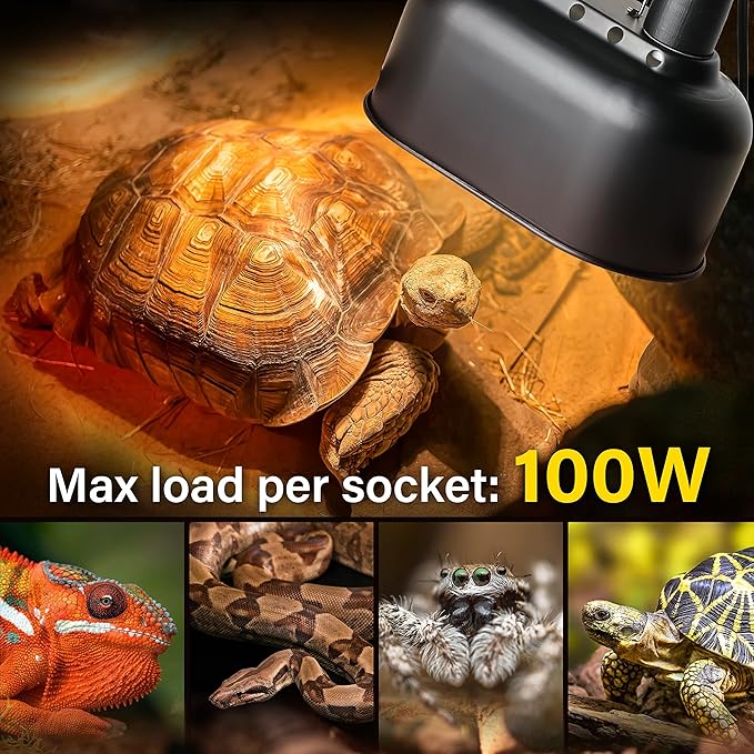 Simple Deluxe Dual Reptile Light Fixture with Separate Switches, Aluminum Reflector 100W Double Dome Heat/UVB Lamp, for Small Animal Terrarium and Tortoise Habitat (Pack of 8)
