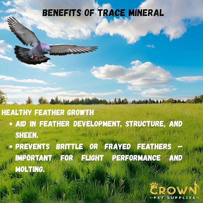 Trace Mineral Powder for Racing Pigeons & All Pigeon Breeds - Supports Physical Development, Growth, Energy, Optimal Metabolism & Overall Vitality