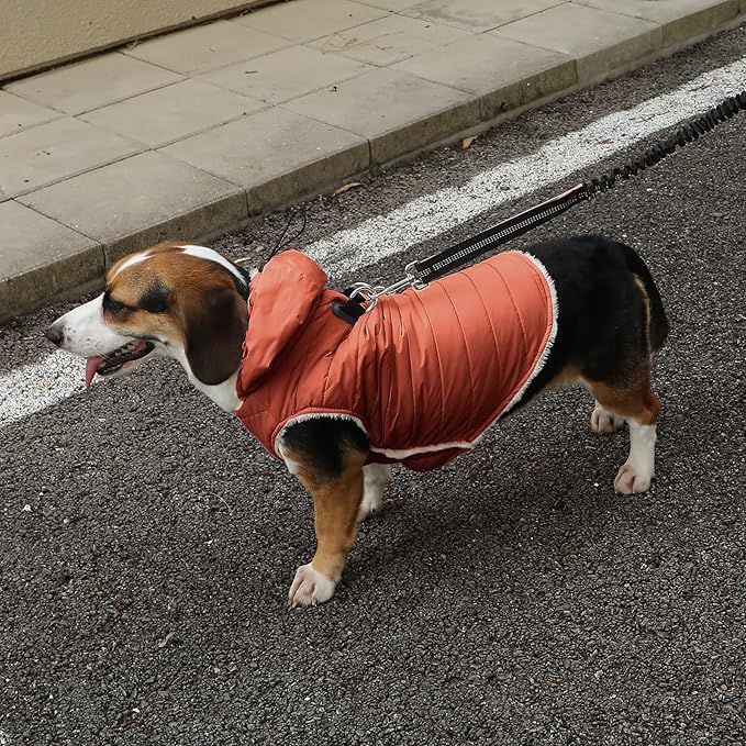 Vecomfy Fleece Lining Dog Hoodie with Harness Built in,Extra Warm Small Dog Jacket in Winter Puppy Coats with Drawstring Hooded,Orange S