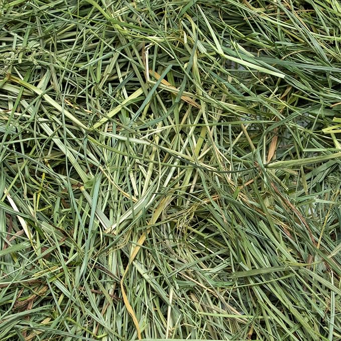 Rabbit Hole Hay - Ultra Premium Mountain Grass for Small Pets - 20 lb Box - Hand-Sorted Freshness