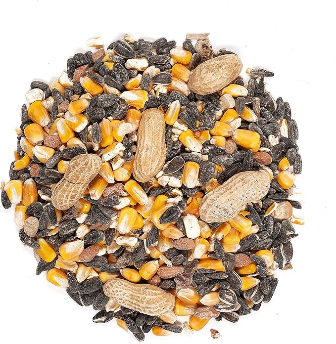 Wagner's 62046 8-Pound Backyard Wildlife Food and 53002 10-Pound Farmer's Delight Wild Bird Food Bundle