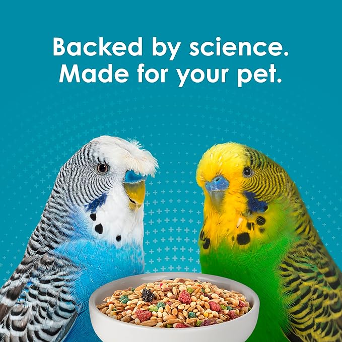 Kaytee Forti-Diet Pro Health Nourish+Protect Parakeet Food,Comprehensive Nutrition Backed by Science,Digestive Health,Immune Support,4 pounds,(Pack of 2)