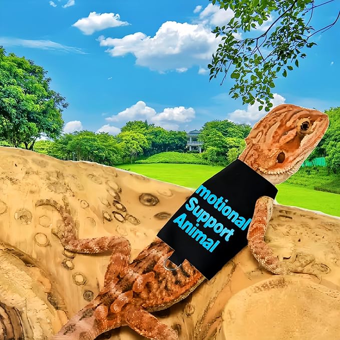 2 Pack Bearded Dragon Harness and Leash Set,Escape Proof Lizard Reptiles Harness Small Animal Traction Rope Training Walking Vest for Reptile Squirrel Rat-Blue&Green