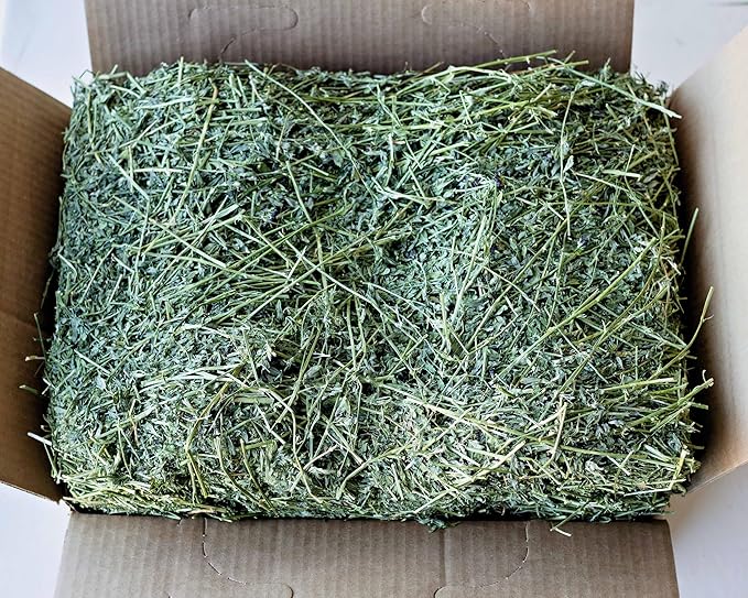 Alfalfa Hay for Rabbits & Small Pets, 10 lbs