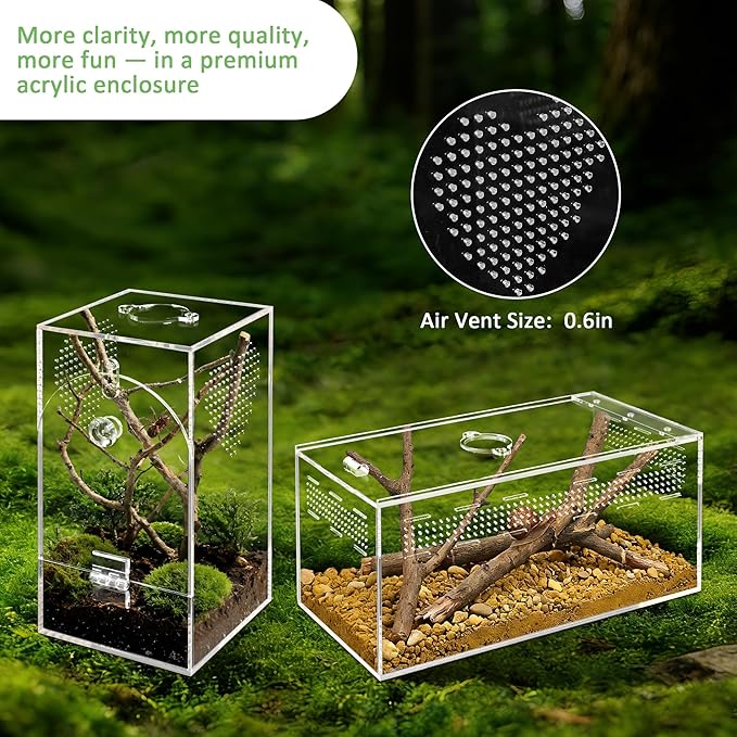 Acrylic Spider Enclosure 2 Pack, No Assembly Mixed Size Terrarium for Jumping Spider & Tarantula (L)