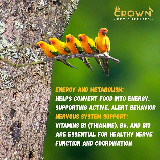 Parrot Vitamins Powder – Vitamin B Complex & C Supplement for Birds – Supports Feather Health, Appetite, Digestion, Vision, Metabolism & Reproductive Health