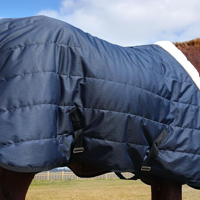 HOMBYS Heavy Duty Winter Horse Blanket,Waterproof Turnout Blanket with Flannel Backing,Super Warm Horse Blanket for Real Horse, 600D High Density Horse Sheet (75")