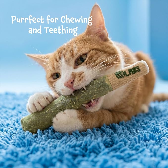 LIT LABS Cat Doobie 3 Pack Catnip Toys for Cats, Funny Cat Toys, Safe Kitten Teething Chew and Kicker Toys, Stress-Relieving Indoor Cat Gifts that Hit Different - Image 3