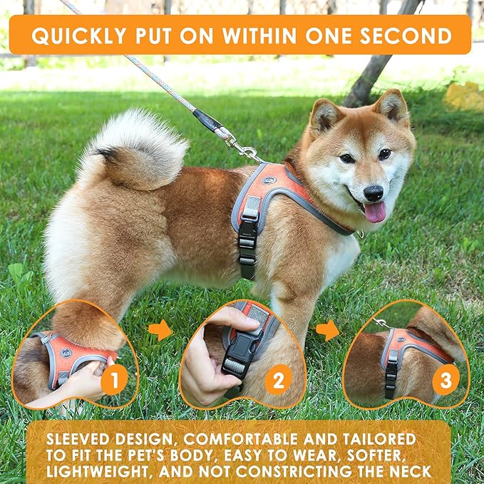 Dog Harness and Leash Set, No Pull Saddle Style Pet Harness, Breathable Mesh Adjustable Reflective Dog Vest for Dogs and Cat Medium Small Harness 2 D-Rings (Orange, S)